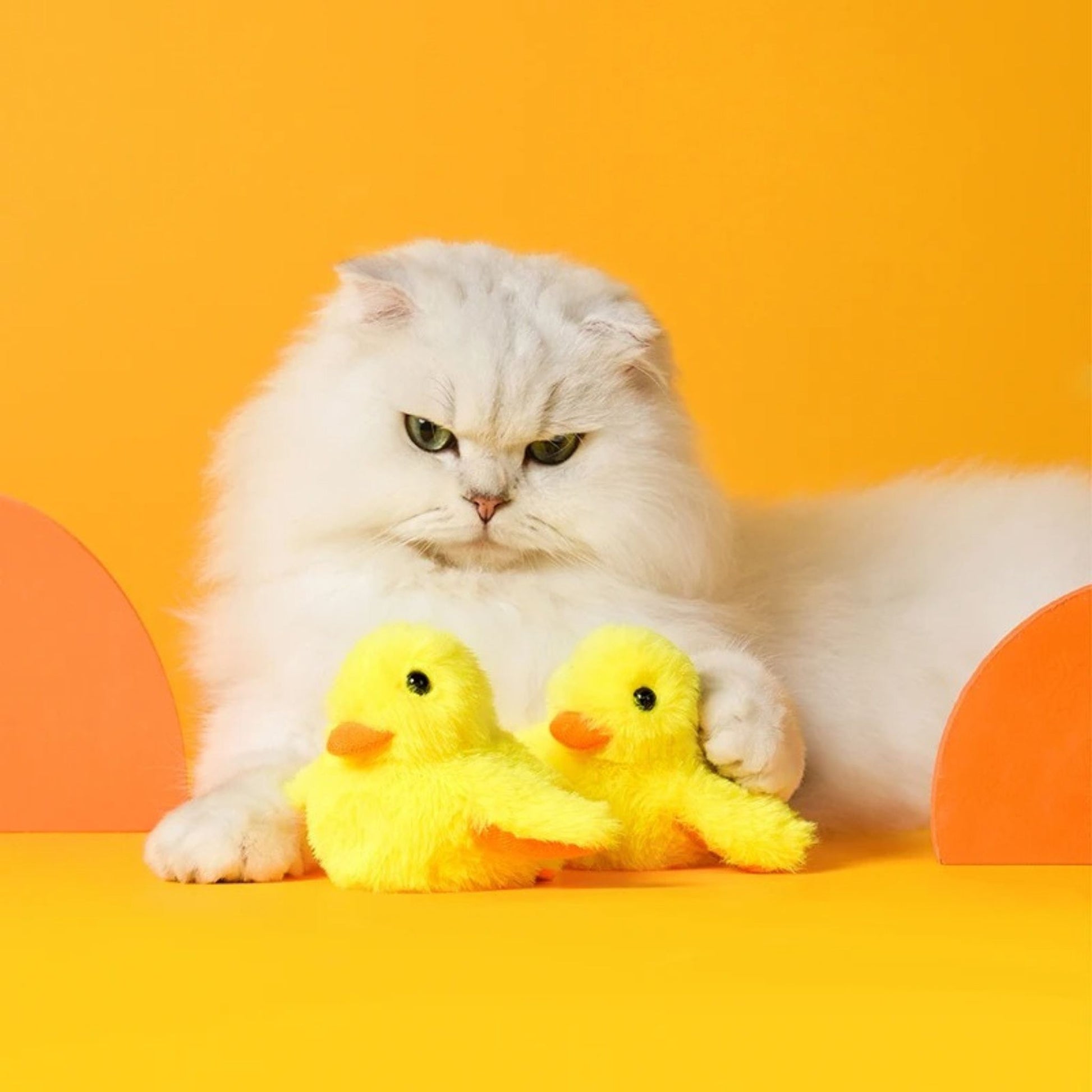 oiseau-pour-chat-contre-ennui