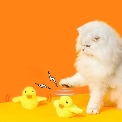 oiseau-pour-chat-éveil