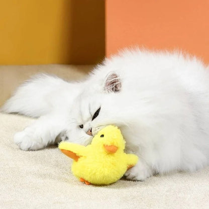 oiseau-pour-chat-irresistible