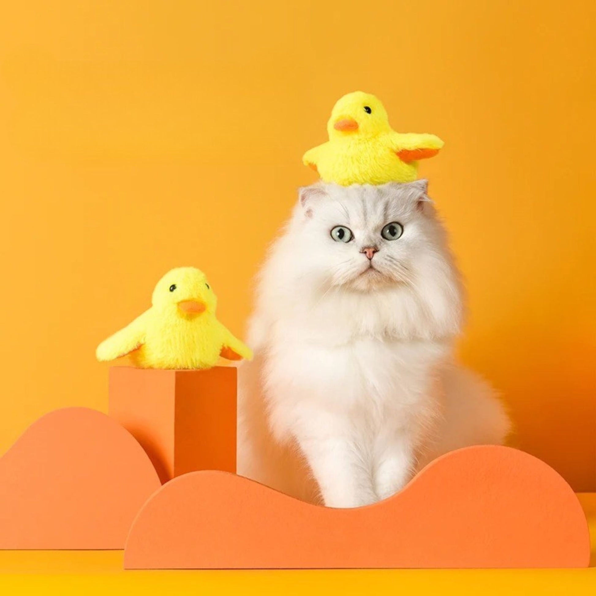 oiseau-pour-chat-jaune-poussin