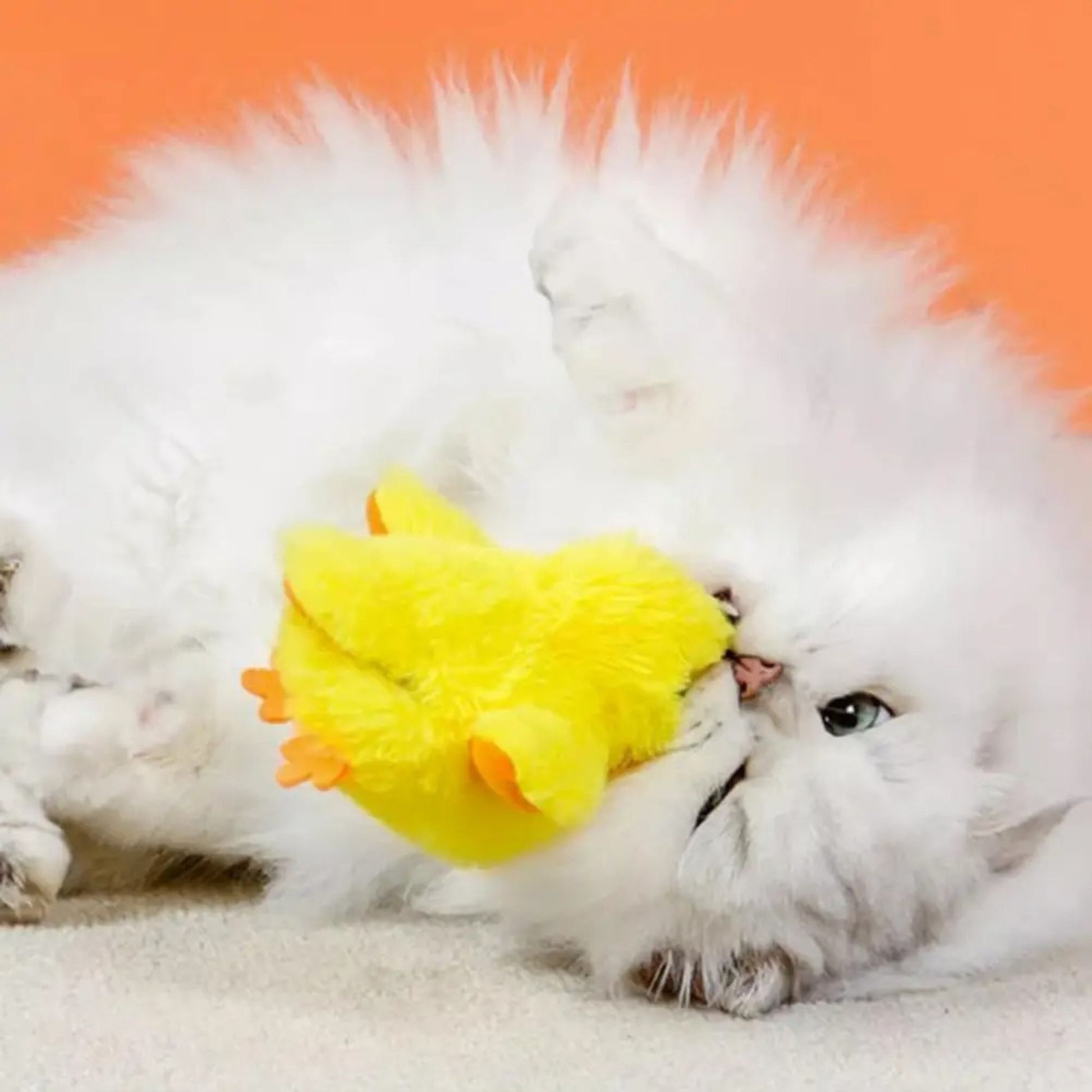 oiseau-pour-chat-jaune