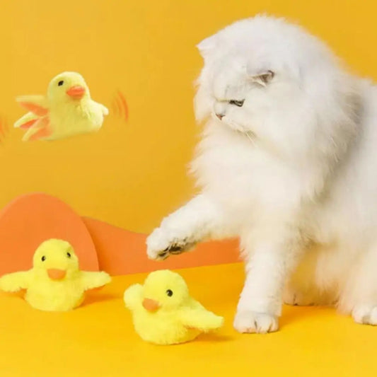 oiseau-pour-chat-joupoussin
