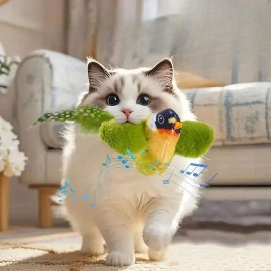 oiseau-pour-chat-oiseau-taquin