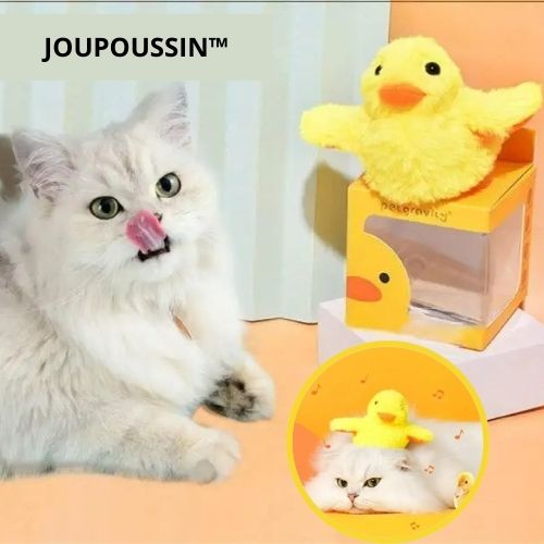 oiseau-pour-chat-poussin