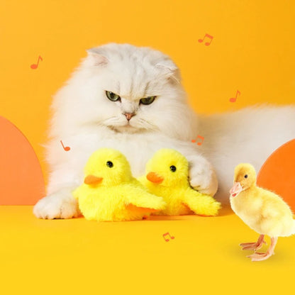 oiseau-pour-chat-son