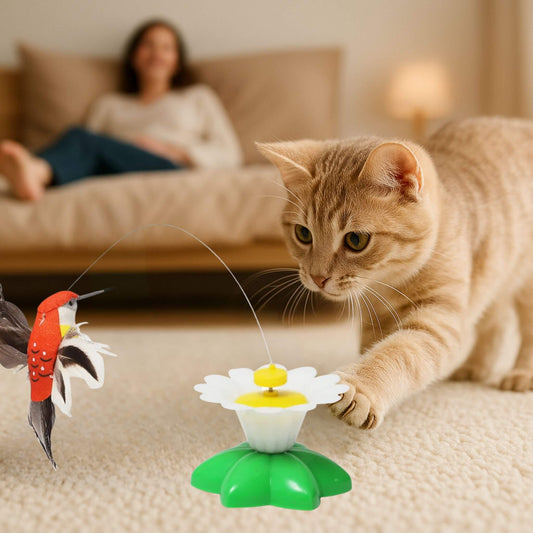 oiseau-volant-pour-chat-ballet-oiseau