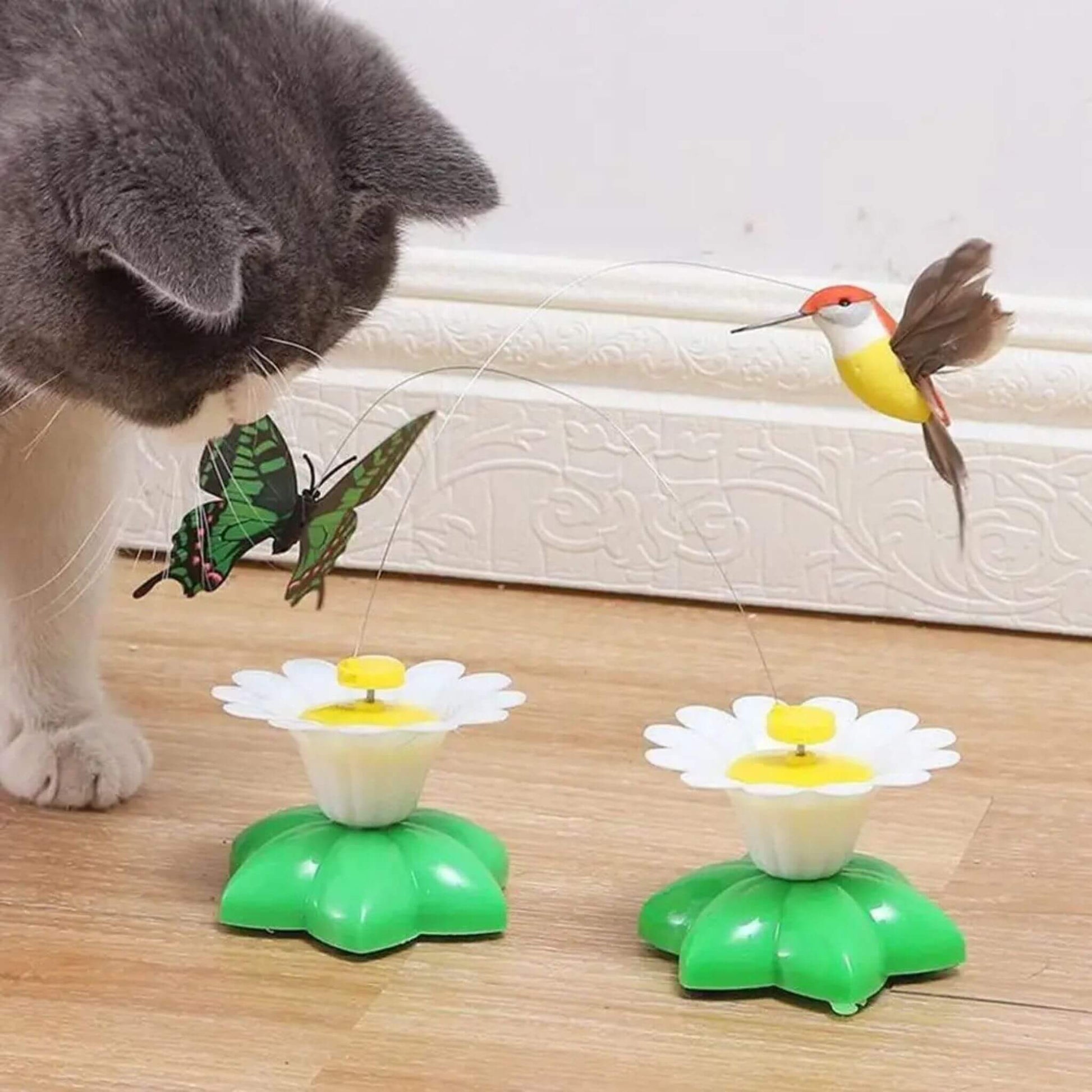 oiseau-volant-pour-chat-intéressant