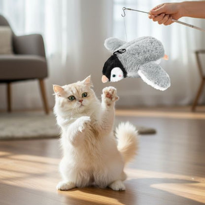 oiseau volant pour chat relation