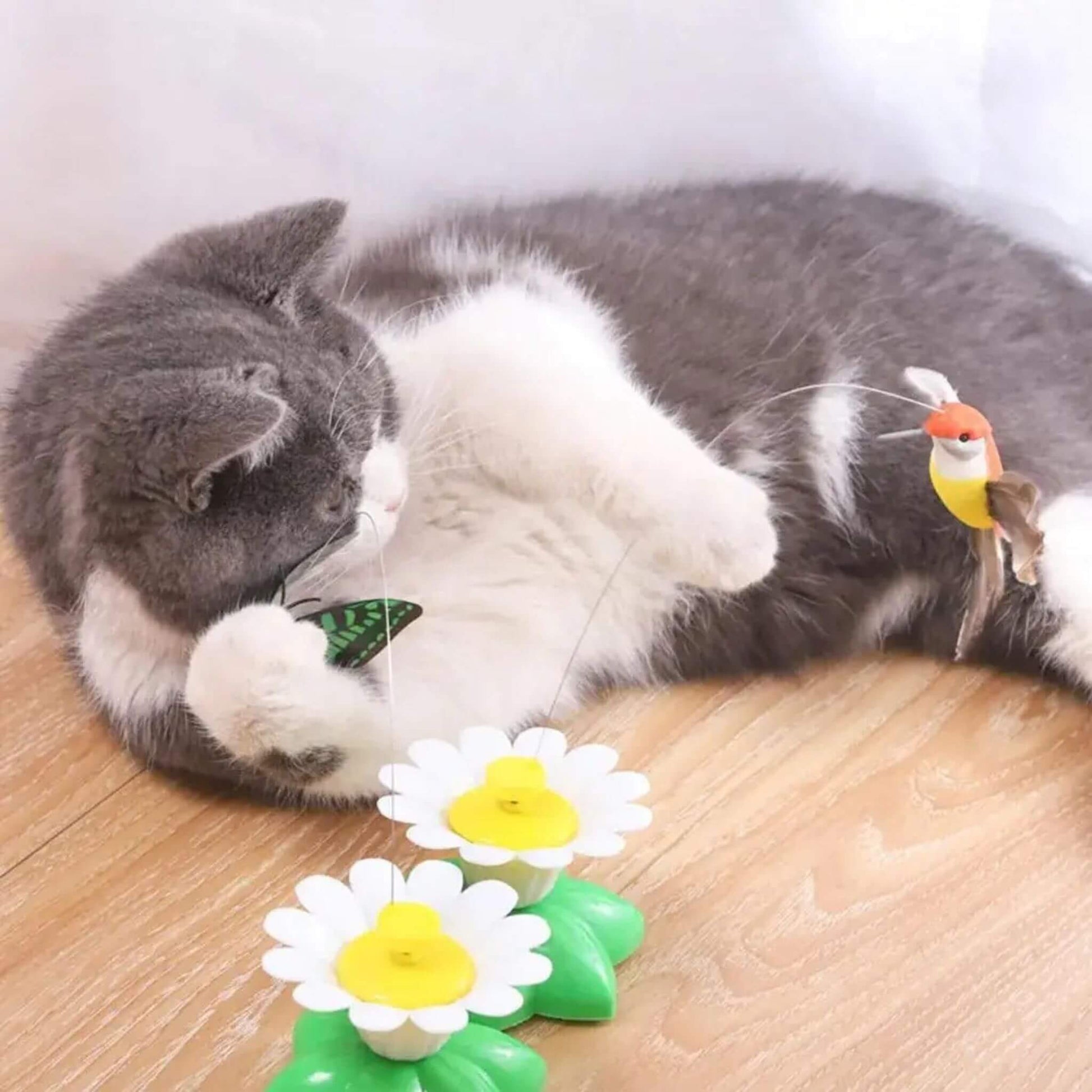 oiseau-volant-pour-chat-stimulation
