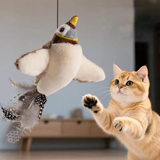 oiseau-volant-pour-chat-vol
