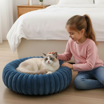 panier-chat-complicité