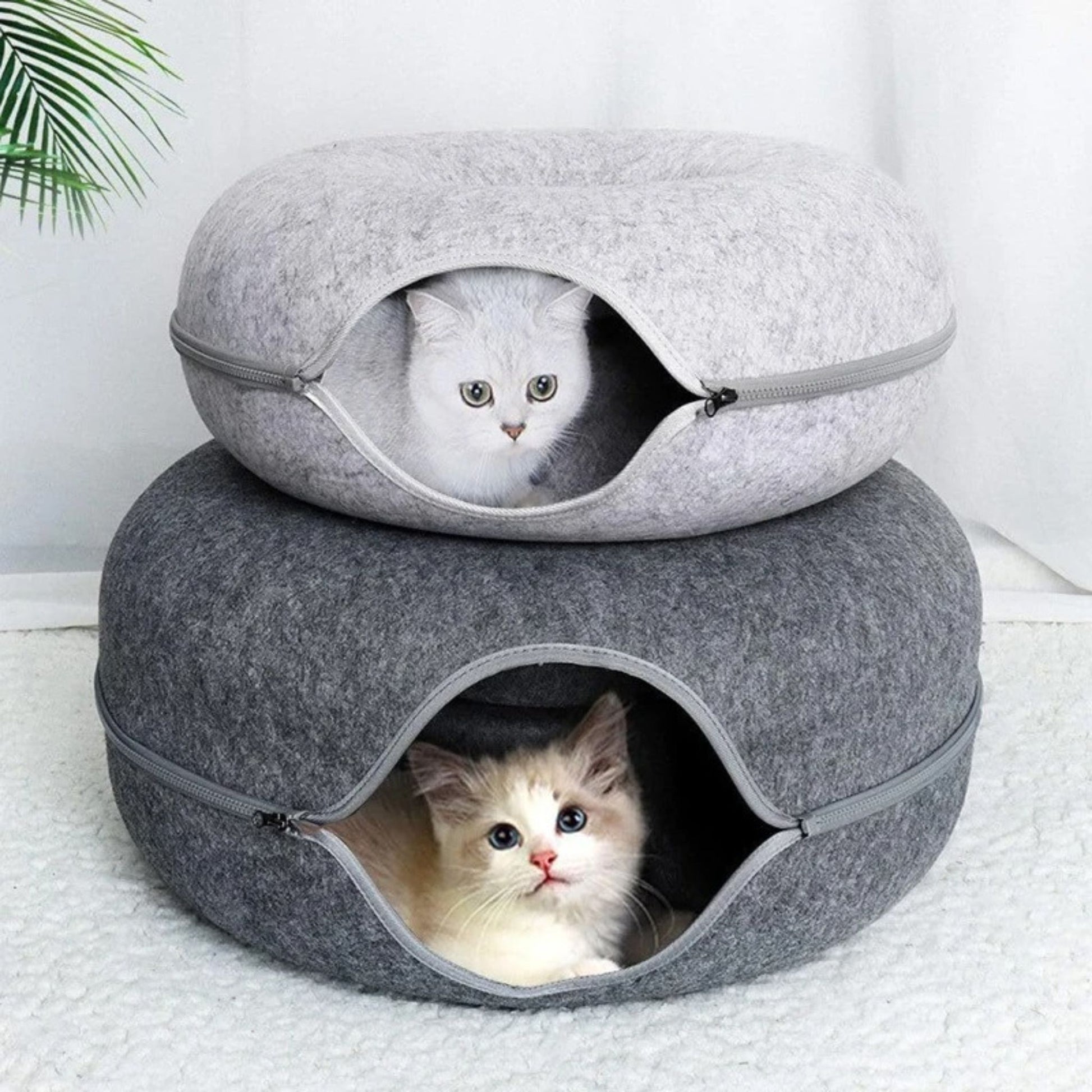 panier-chat-dodobeignet