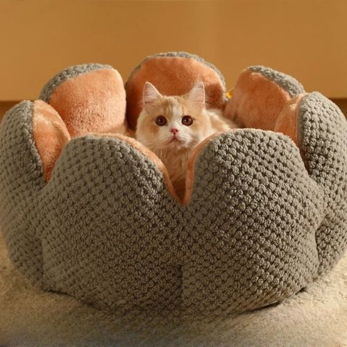 panier chat | DODO'PÉTALE - Happy minet