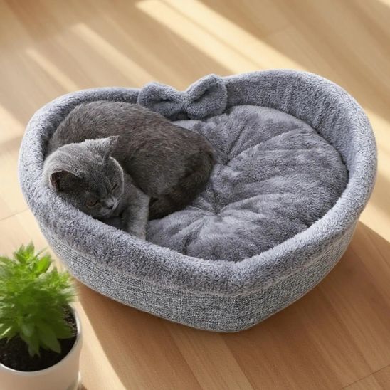 panier-chat-doux-coeur