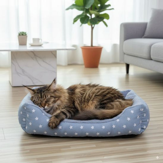 panier-chat-gris-étoile