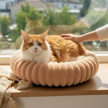 panier-chat-idéal-nid