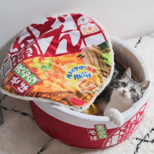 niche-pour-chat-rouge-ramen