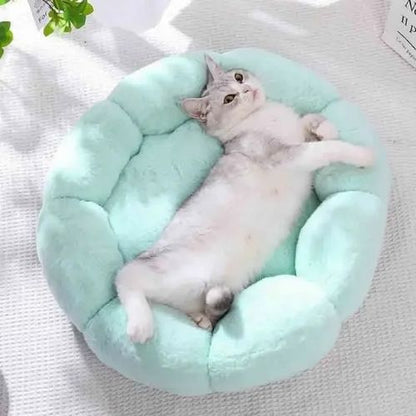 panier-chat-original-fleur-bleu-vert