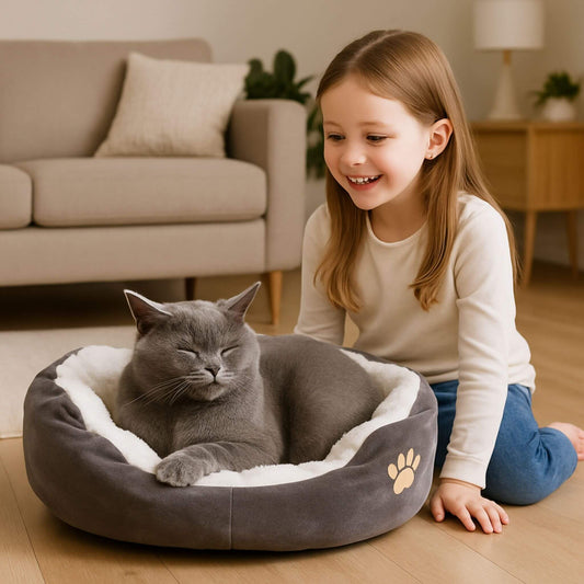 panier-chat-patte