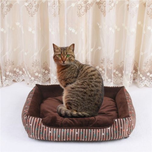panier-chat-brun-motifs-colorés