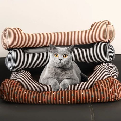 panier-chat-rayé