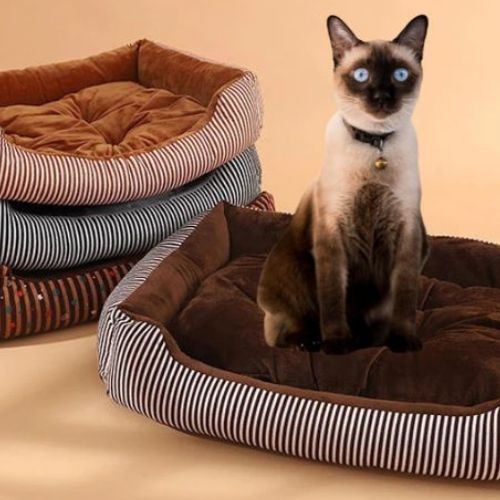 panier-chat-brun-foncé