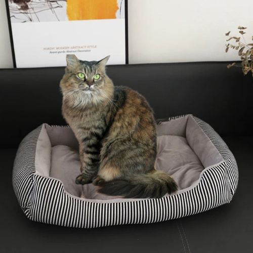 panier-chat-gris-rayé