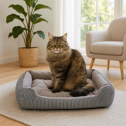 panier-chat-rayé-gris