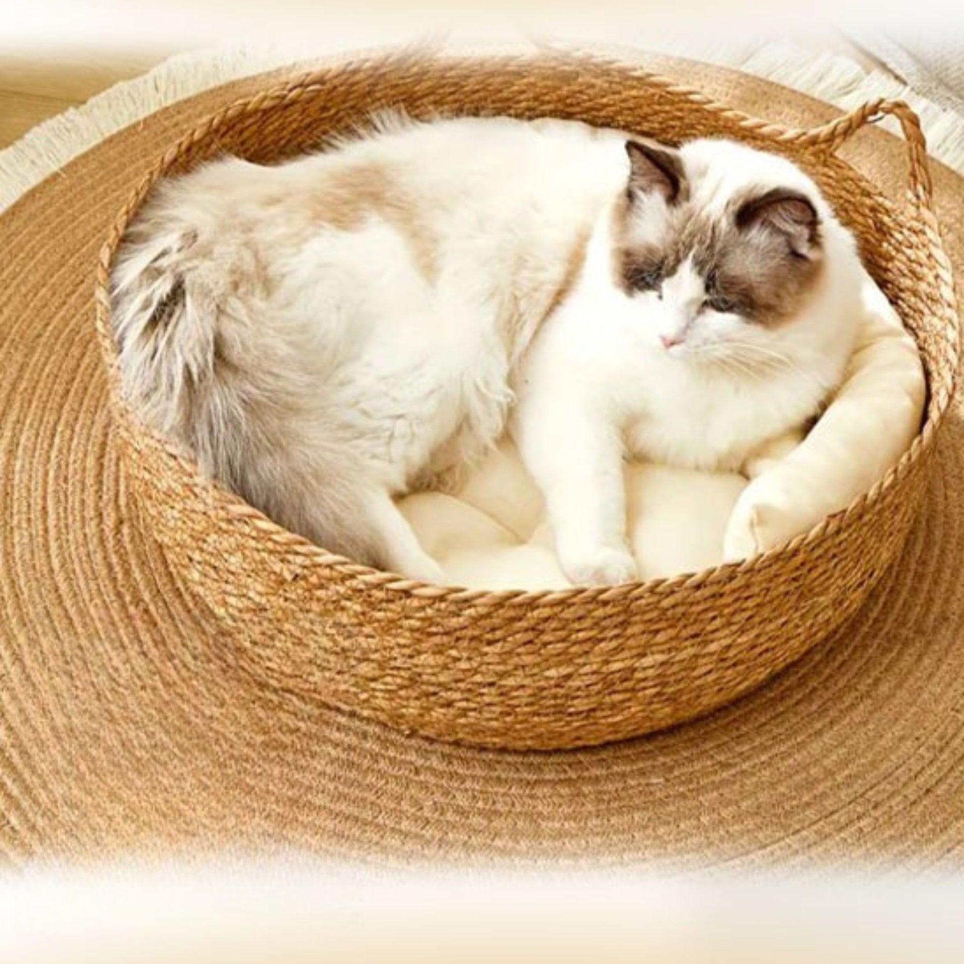panier-en-osier-pour-chat-unique