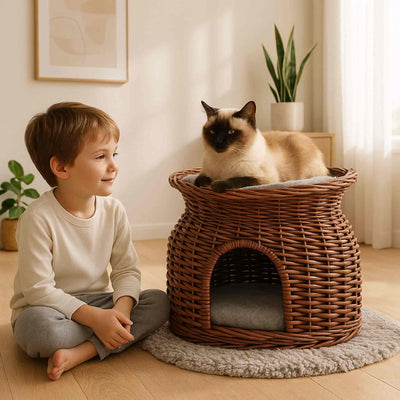 panier-osier-chat-brun