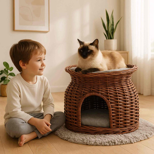 panier-osier-chat-brun