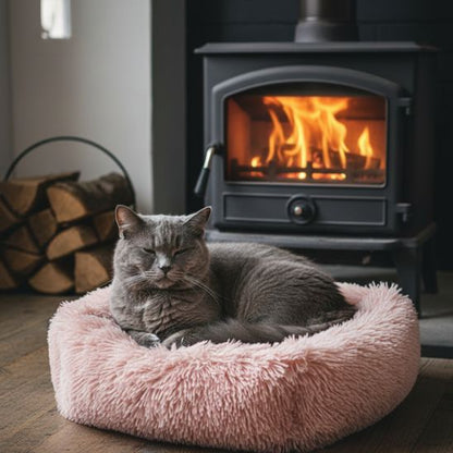 panier-pour-chat-apaisant-abricot