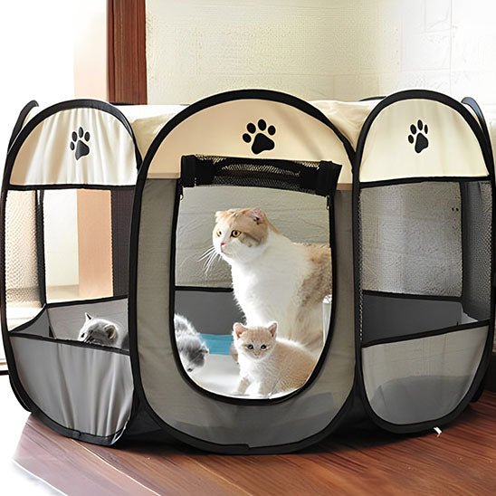 parc pour chat pliable entrée