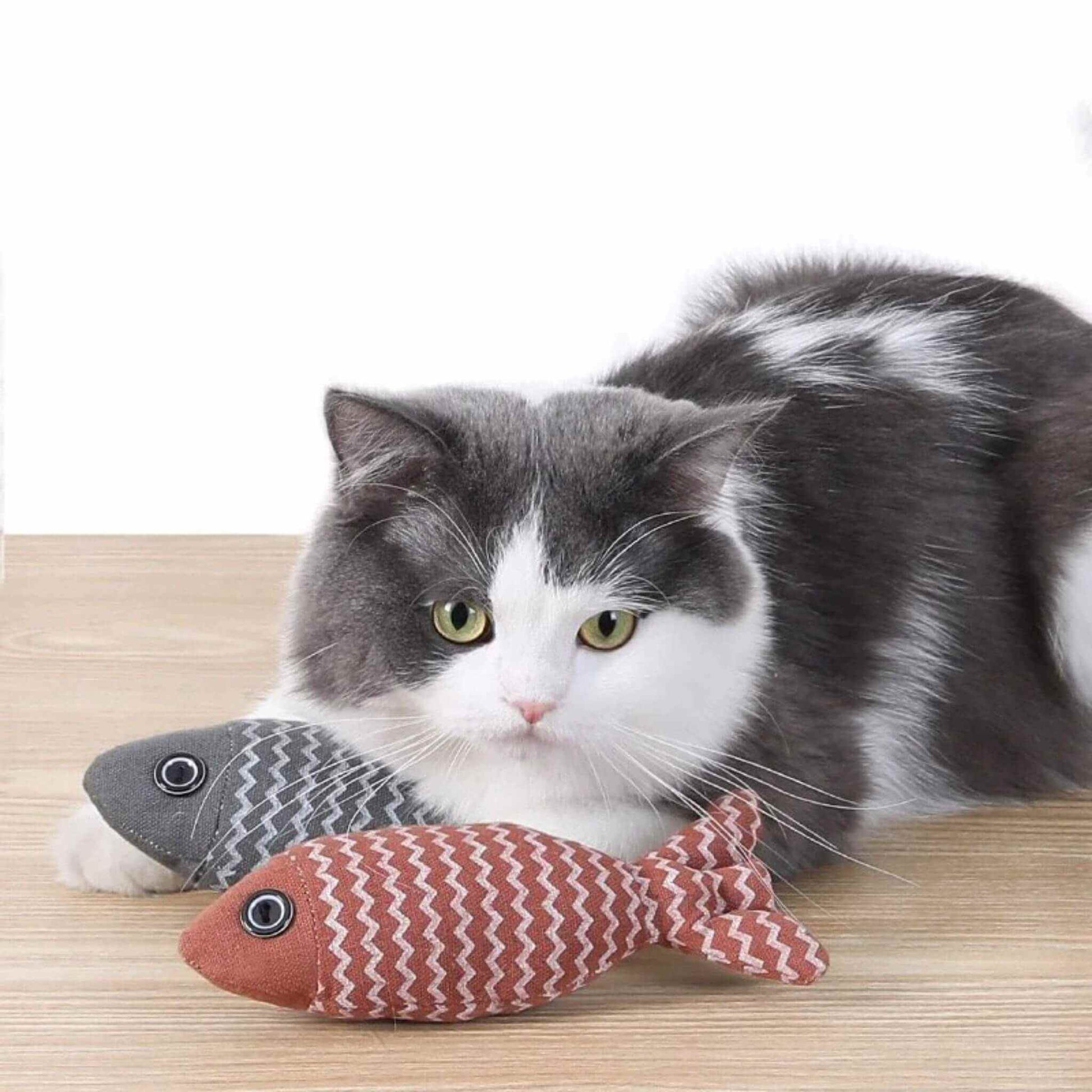 poisson-pour-chat-jeu