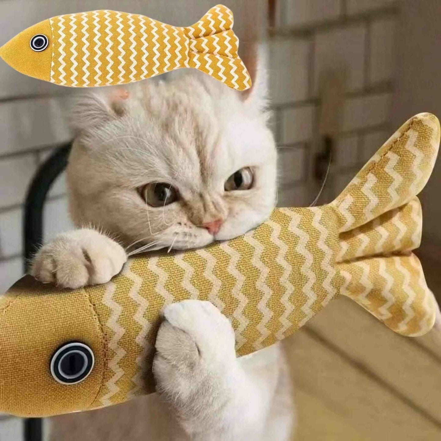 poisson-pour-chat-mordre