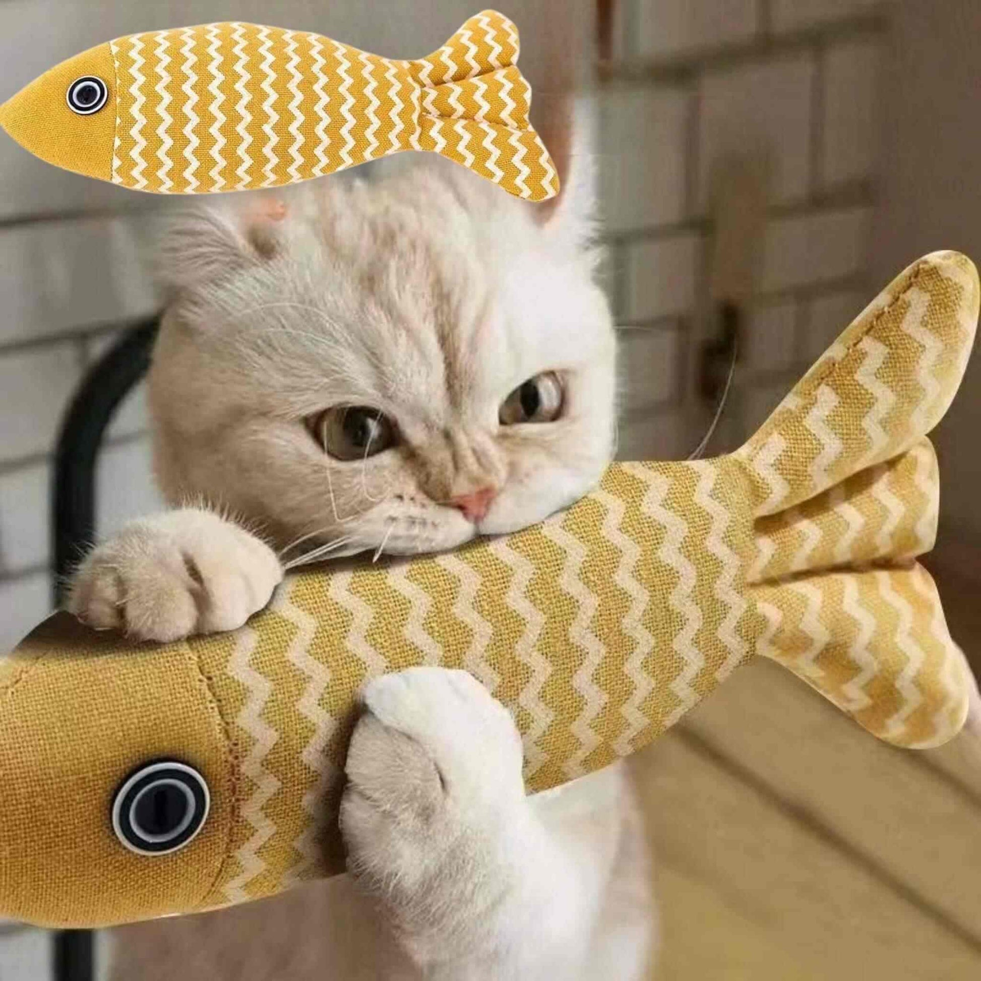 poisson-pour-chat-mordre