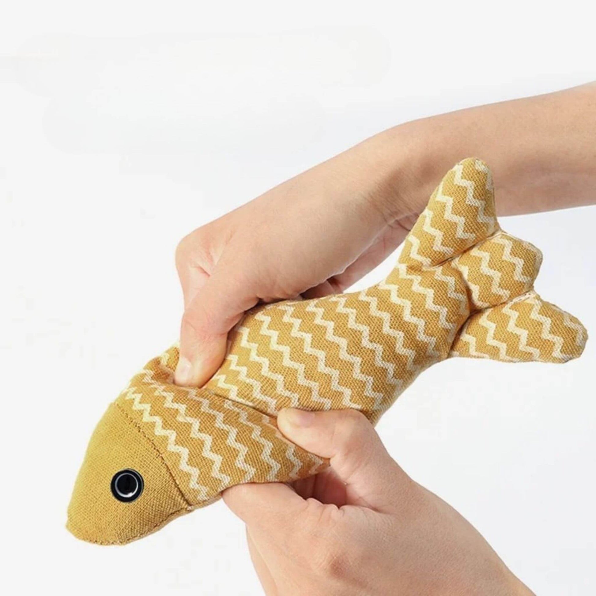 poisson-pour-chat-solide