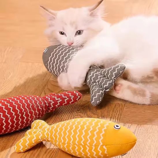 poisson-pour-chat-stimulant