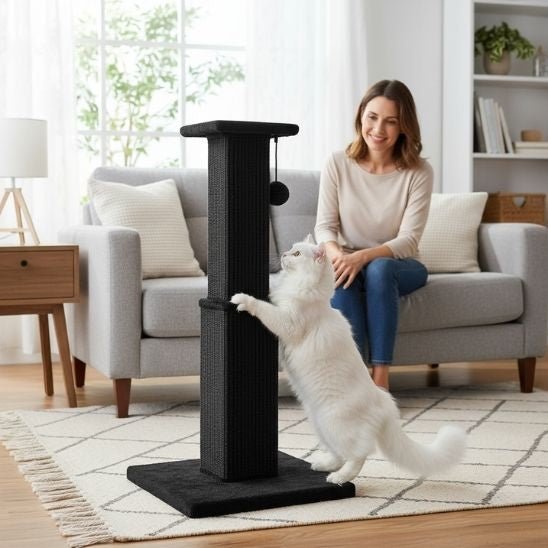 Poteau Griffoir Chat idéal
