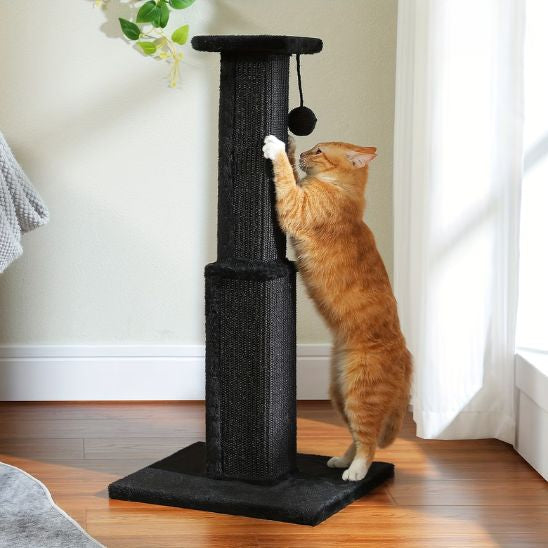 Poteau Griffoir Chat noir