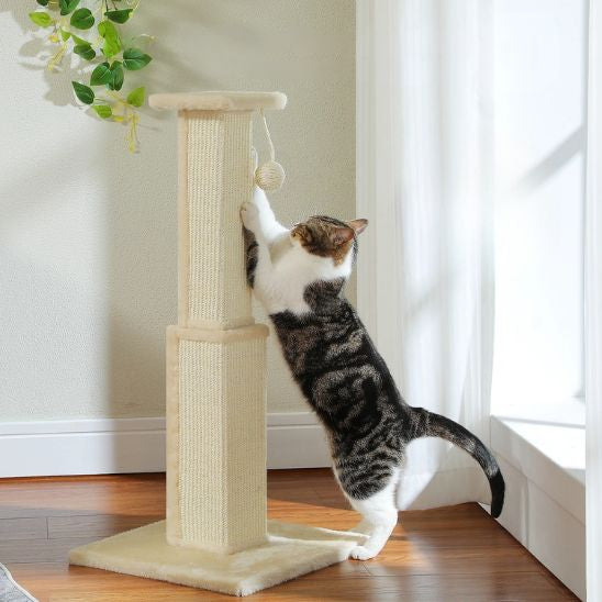 Poteau Griffoir Chat vertical