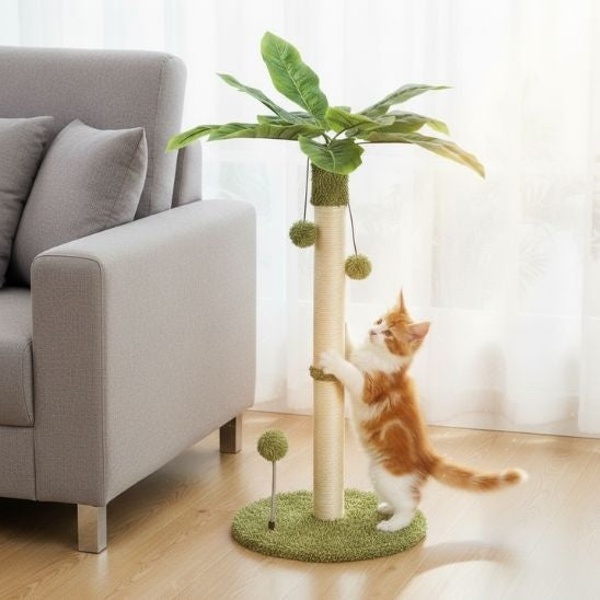 poteau griffoir pour chat pratique
