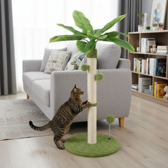 poteau griffoir pour chat unique