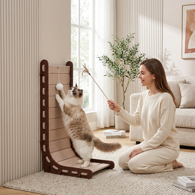 griffoir pour chat marron
