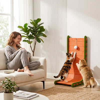 griffoir pour chat jeu
