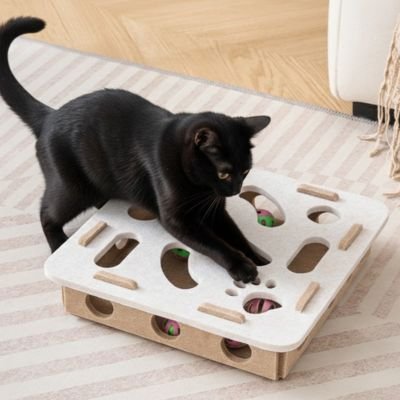 Jouet  chat interactif  | Cache-Cache Furtif