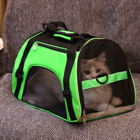 sac-transport-chat-vert-aéré
