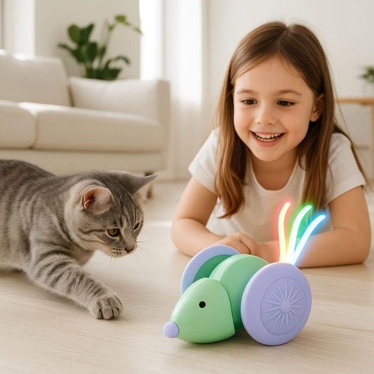 souris-pour-chat-illuminée
