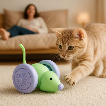souris-pour-chat-taquine-minou
