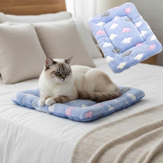 tapis-chat-bleu-motif-nuage